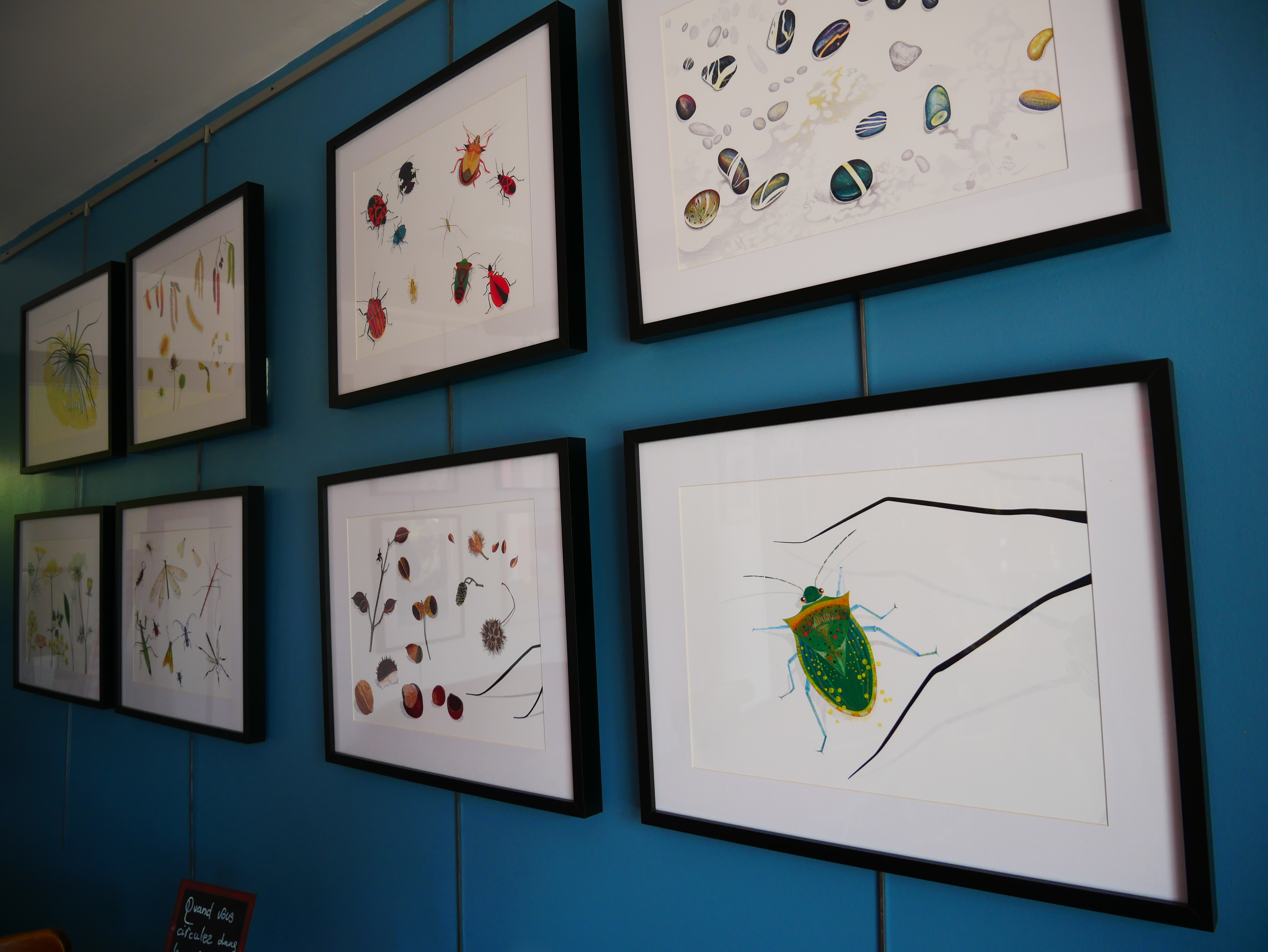 Expo Noms d'oiseaux !